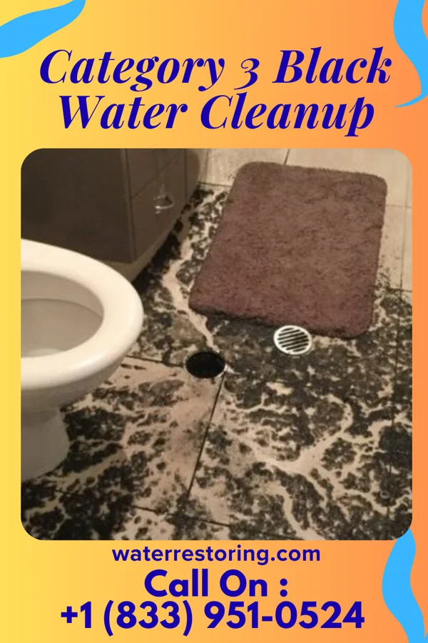 Category 3 Black Water Cleanup in Oberlin, KS